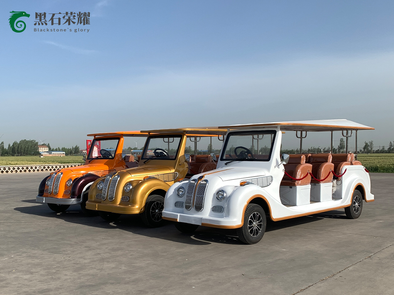 電動觀光車?yán)蠣斳囅盗?></a></i><div   id=