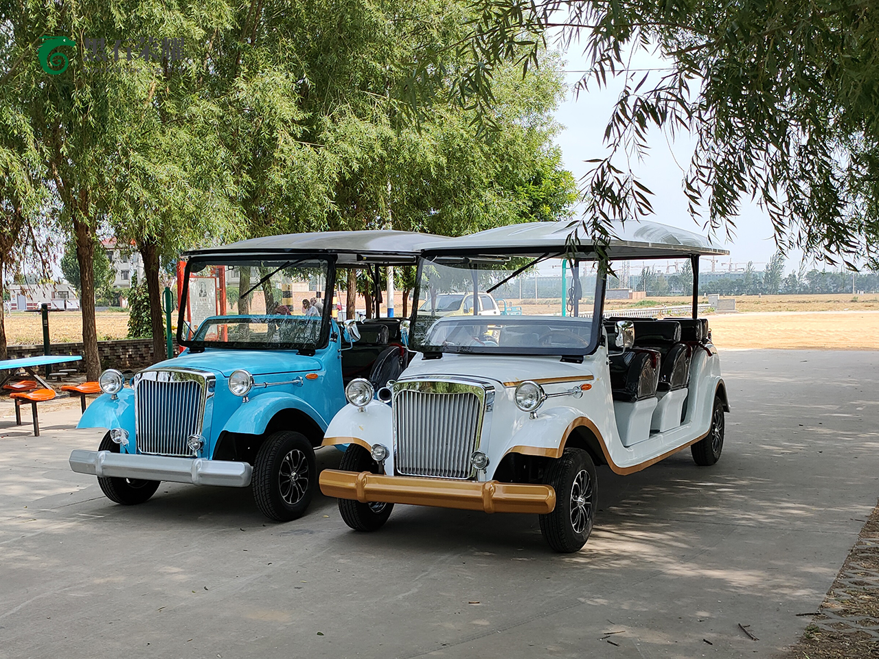 電動觀光車?yán)蠣斳囅盗?></a></i><div   id=
