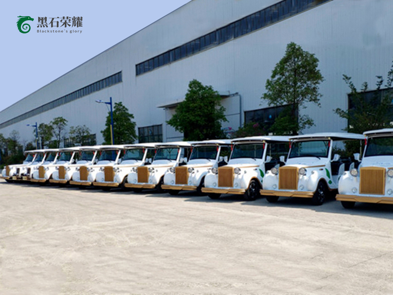 電動觀光車?yán)蠣斳囅盗?></a></i><div   id=